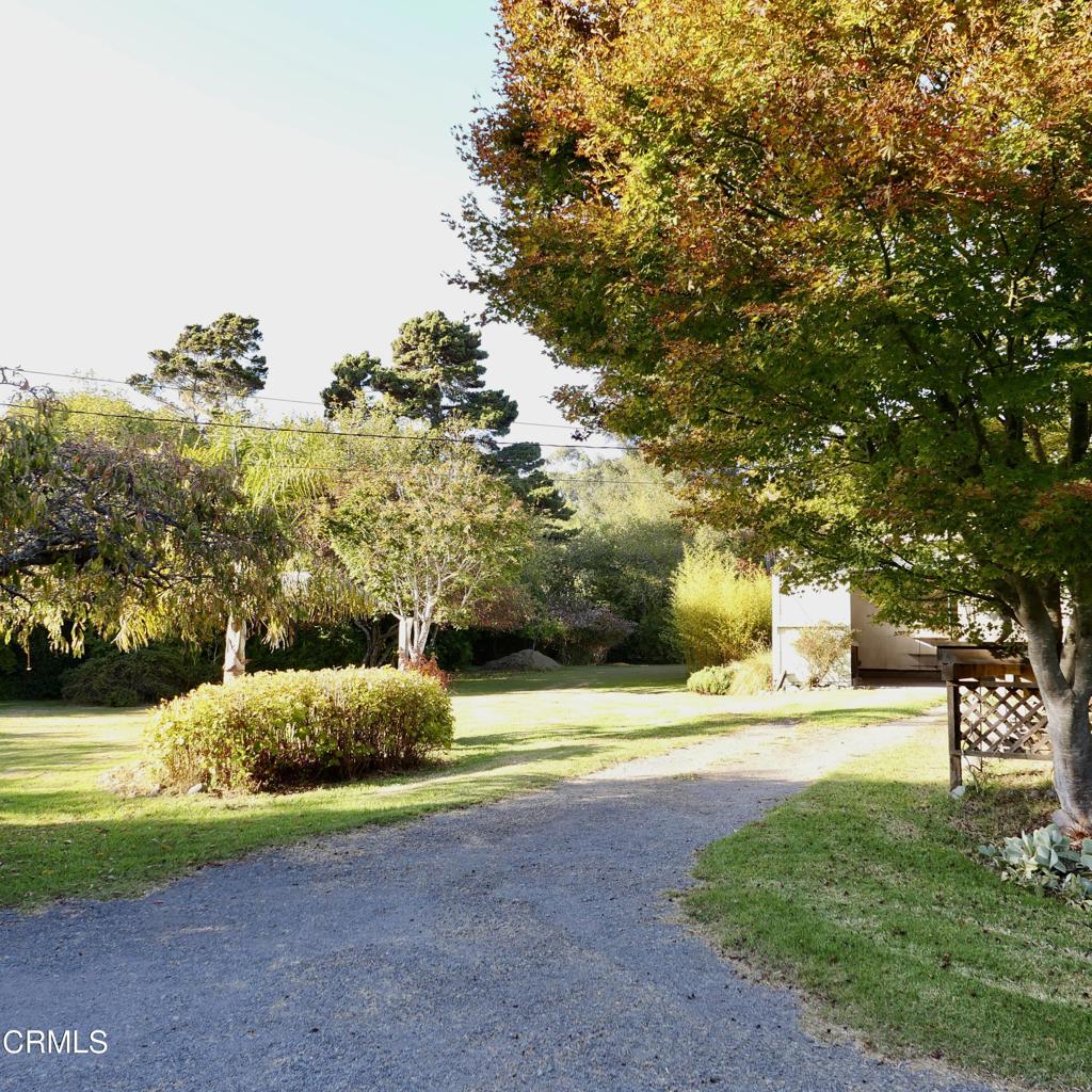 33200 Ocean View Drive Property Photo 23