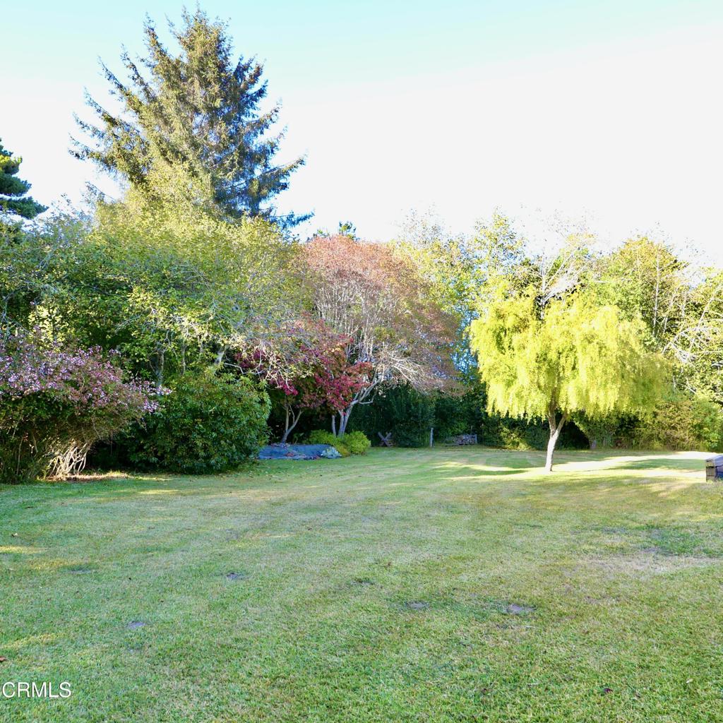 33200 Ocean View Drive Property Photo 26