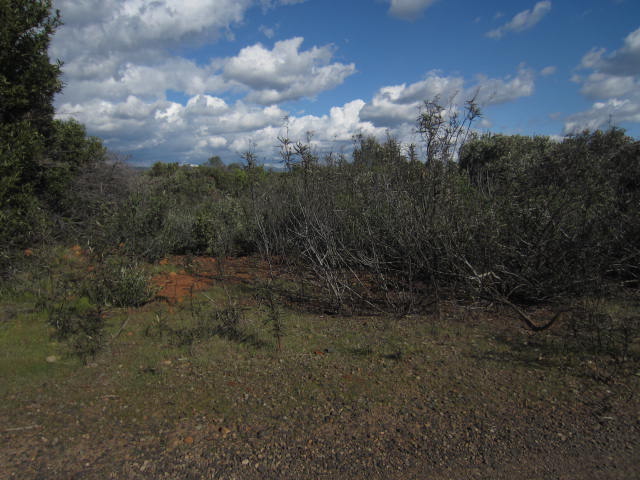0 Sky Court Property Photo 3