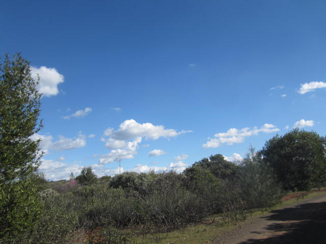 0 Sky Court Property Photo 6