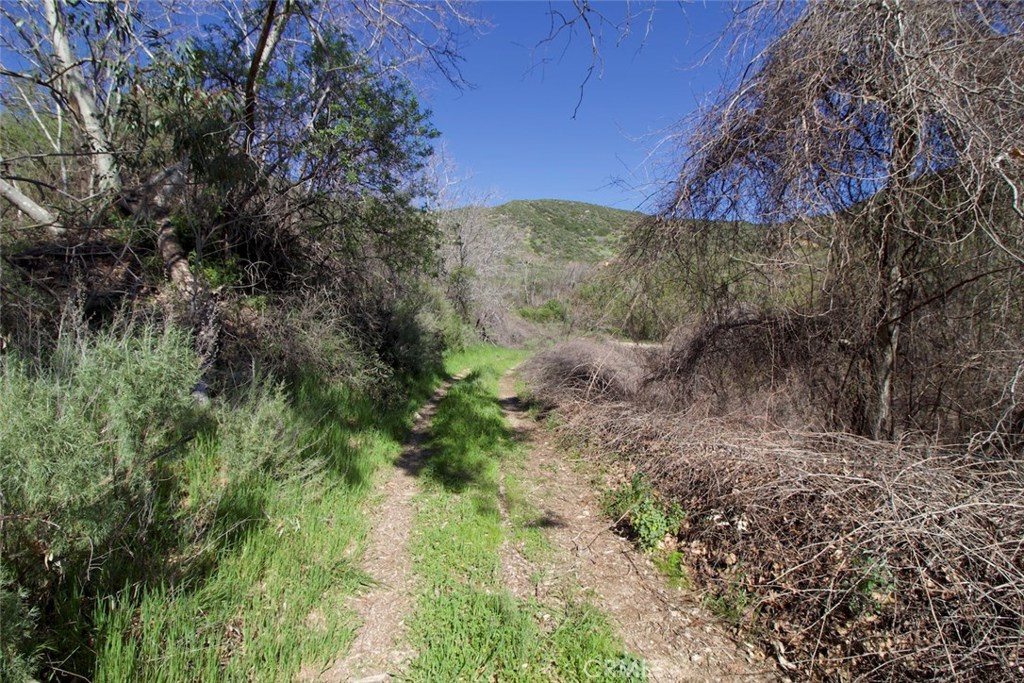 2210 Bailey Canyon Road Property Photo 6