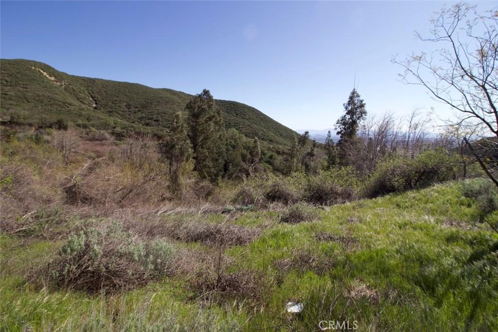 2210 Bailey Canyon Road Property Photo 8