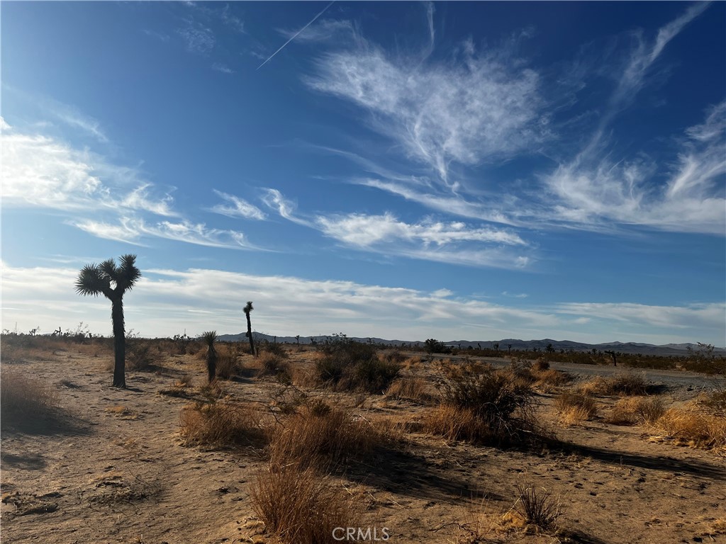 0 El Mirage Road Property Photo