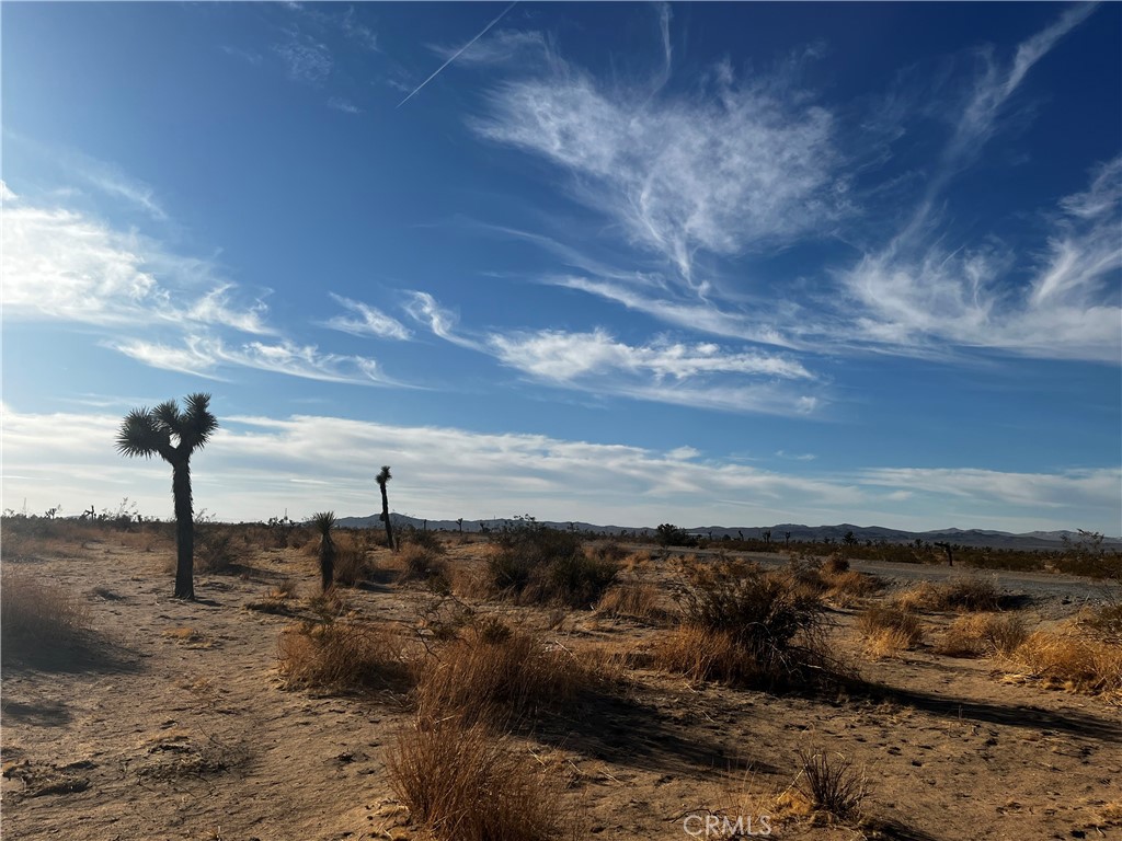 0 El Mirage Road Property Photo 1