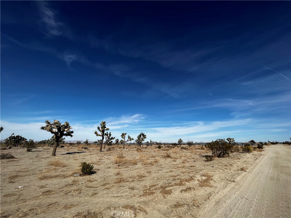 0 Arcadia Property Photo 2