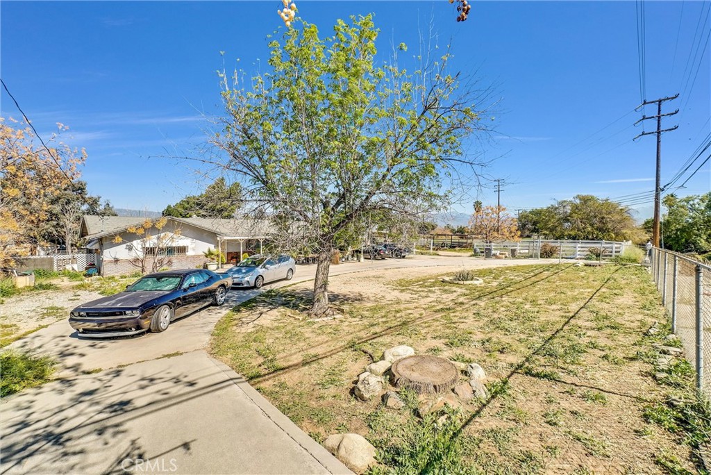 1165 W Olive Street Property Photo 20