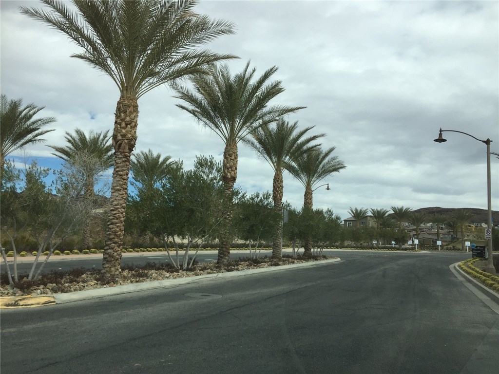 31 Via Corvina(lake Las Vegas, Henderson) Property Photo 14