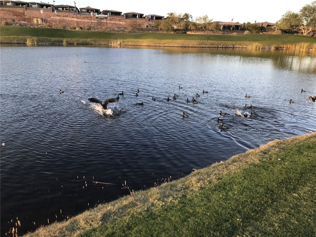 31 Via Corvina(lake Las Vegas, Henderson) Property Photo 17