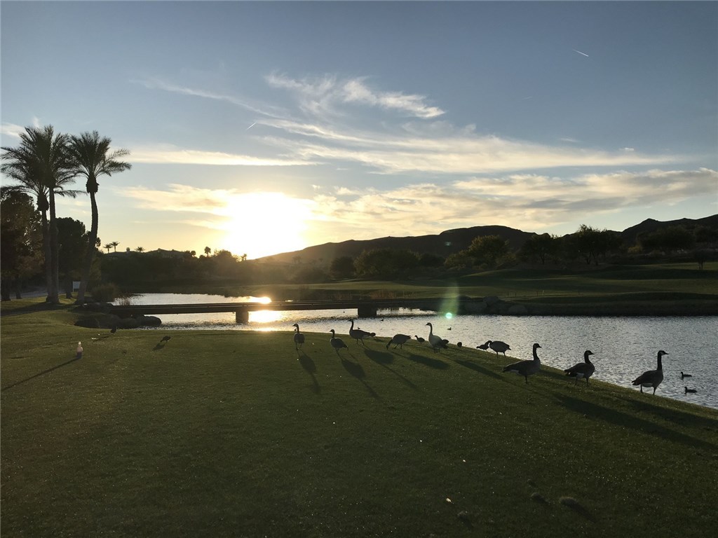 31 Via Corvina(lake Las Vegas, Henderson) Property Photo 32