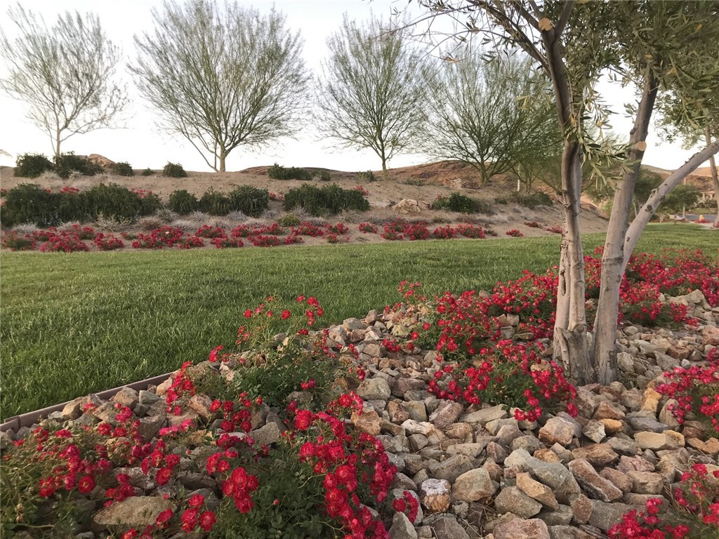 31 Via Corvina(lake Las Vegas, Henderson) Property Photo 39
