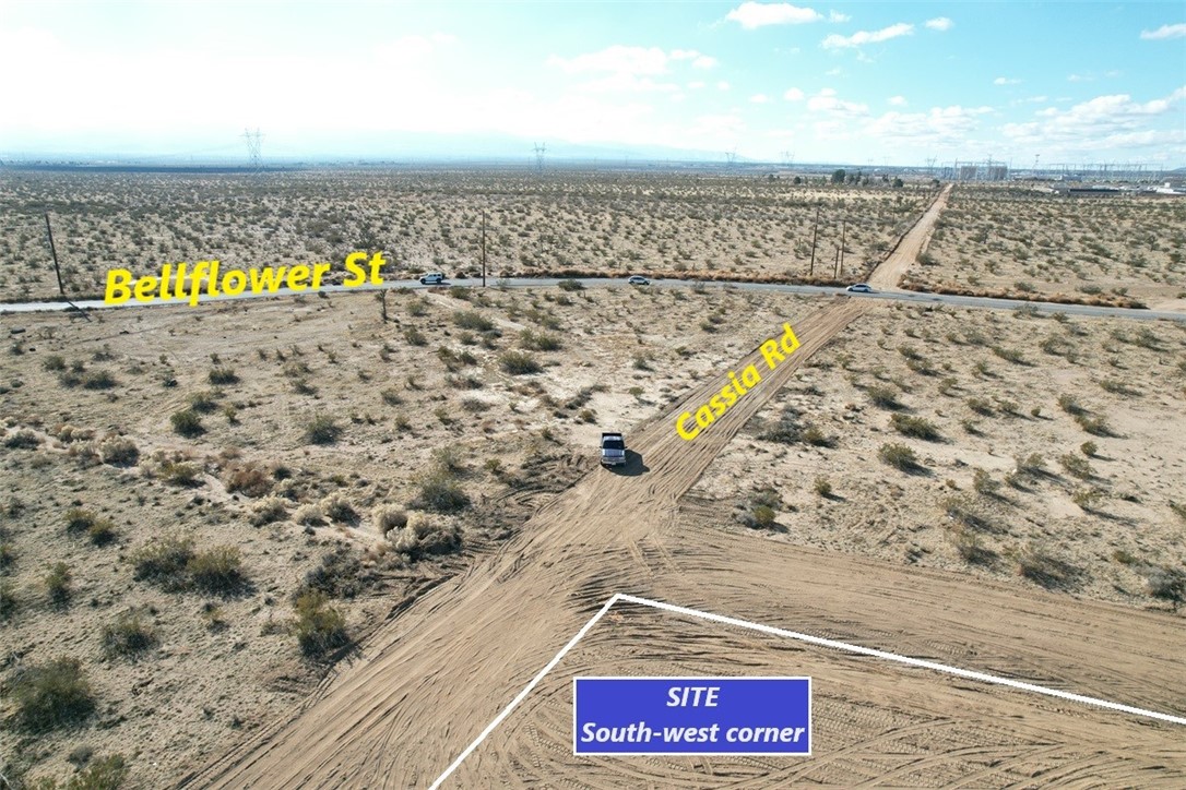 0 Bellflower Street Property Photo 4