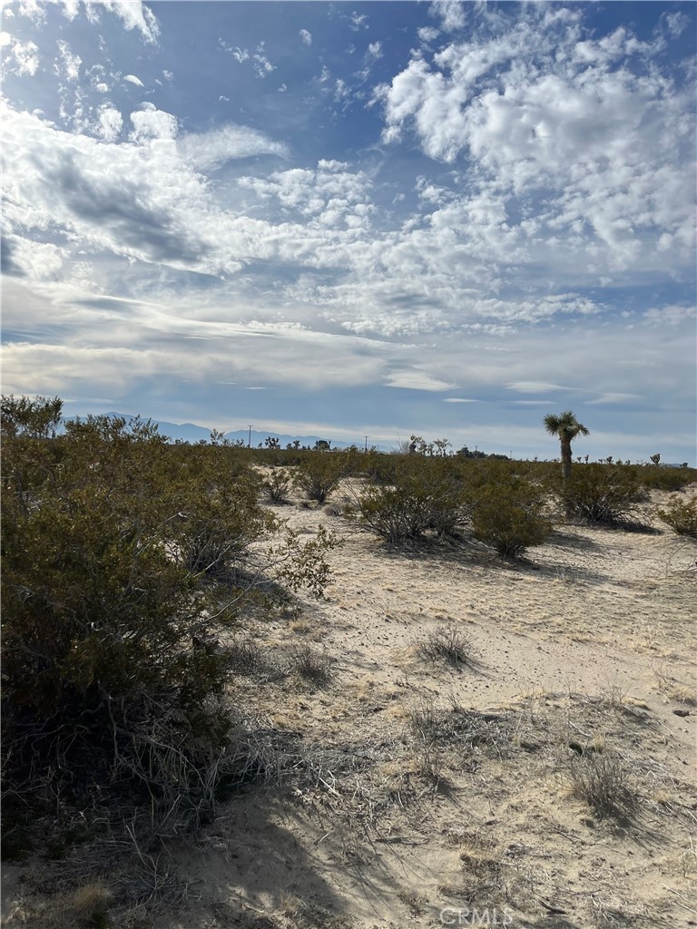0 Vacant Land Property Photo 1