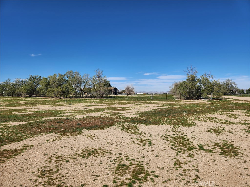 0 Yucca Rd Property Photo 1