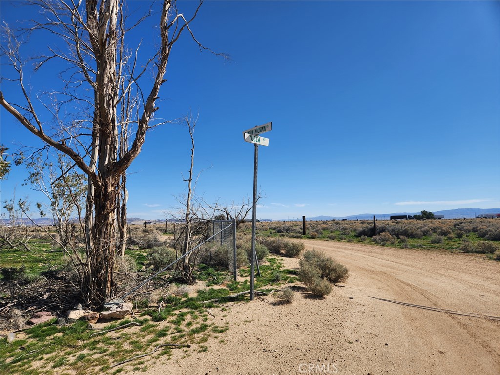 0 Yucca Rd Property Photo 2