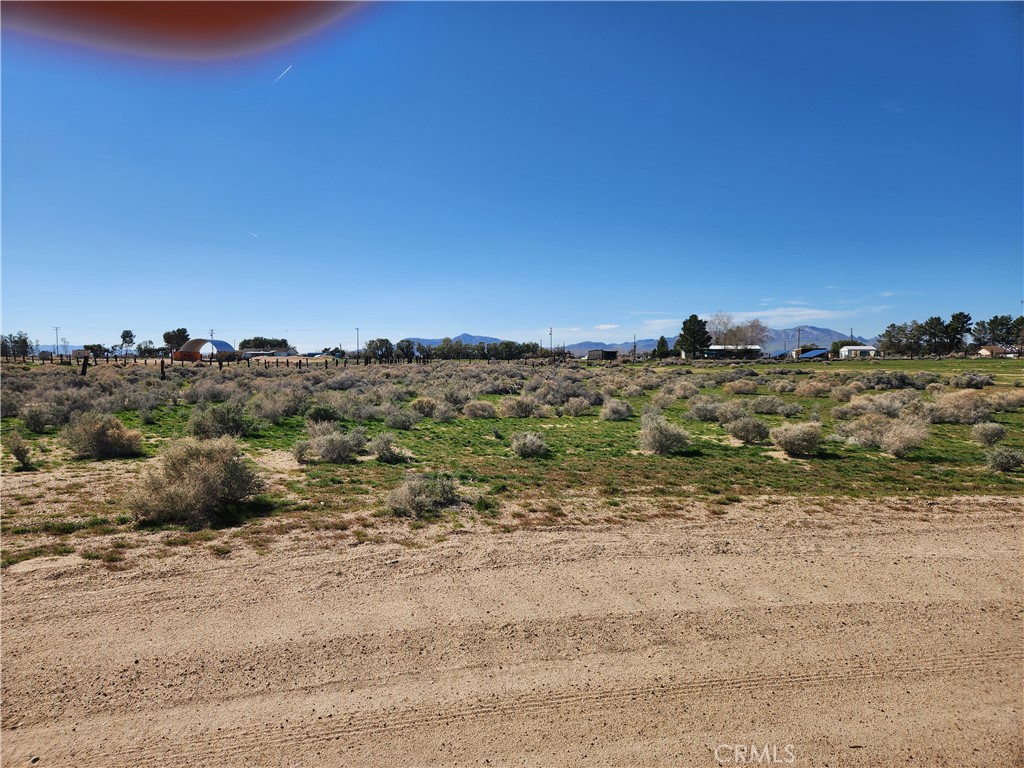 0 Yucca Rd Property Photo 3