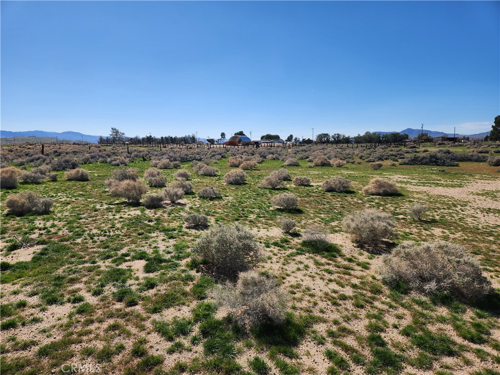 0 Yucca Rd Property Photo 6