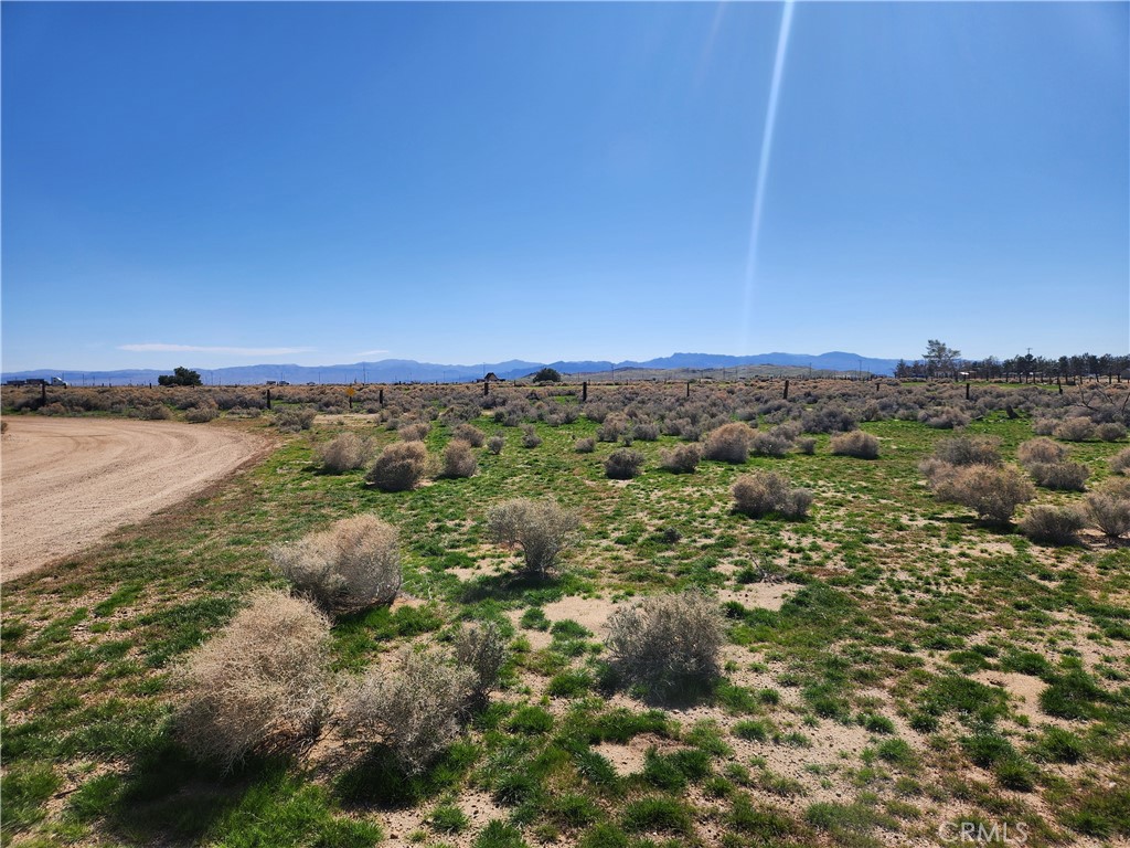 0 Yucca Rd Property Photo 7