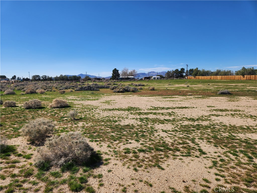0 Yucca Rd Property Photo 8