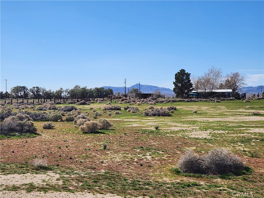 0 Yucca Rd Property Photo 9