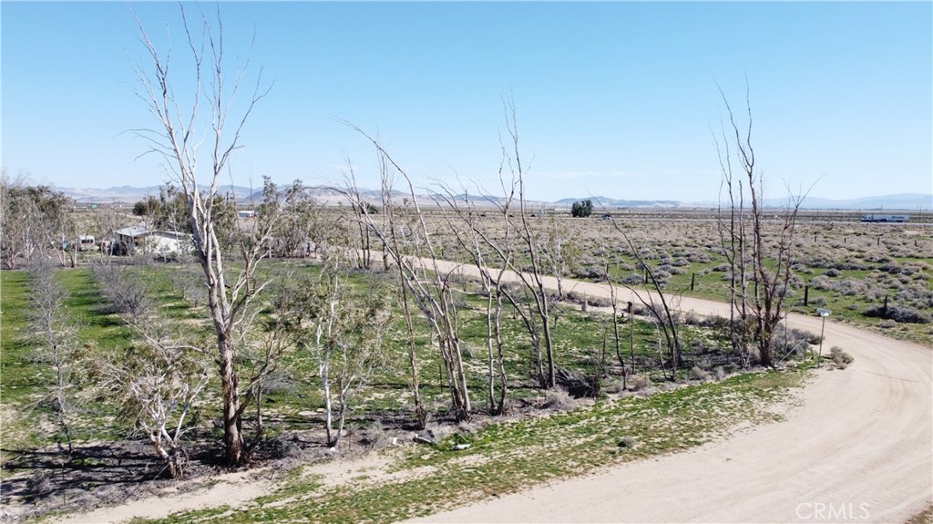 0 Yucca Rd Property Photo 15