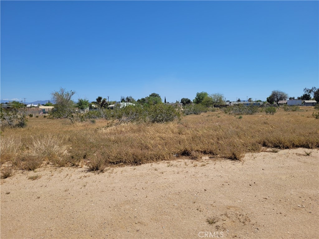 41000 Lilac Street Property Photo 1