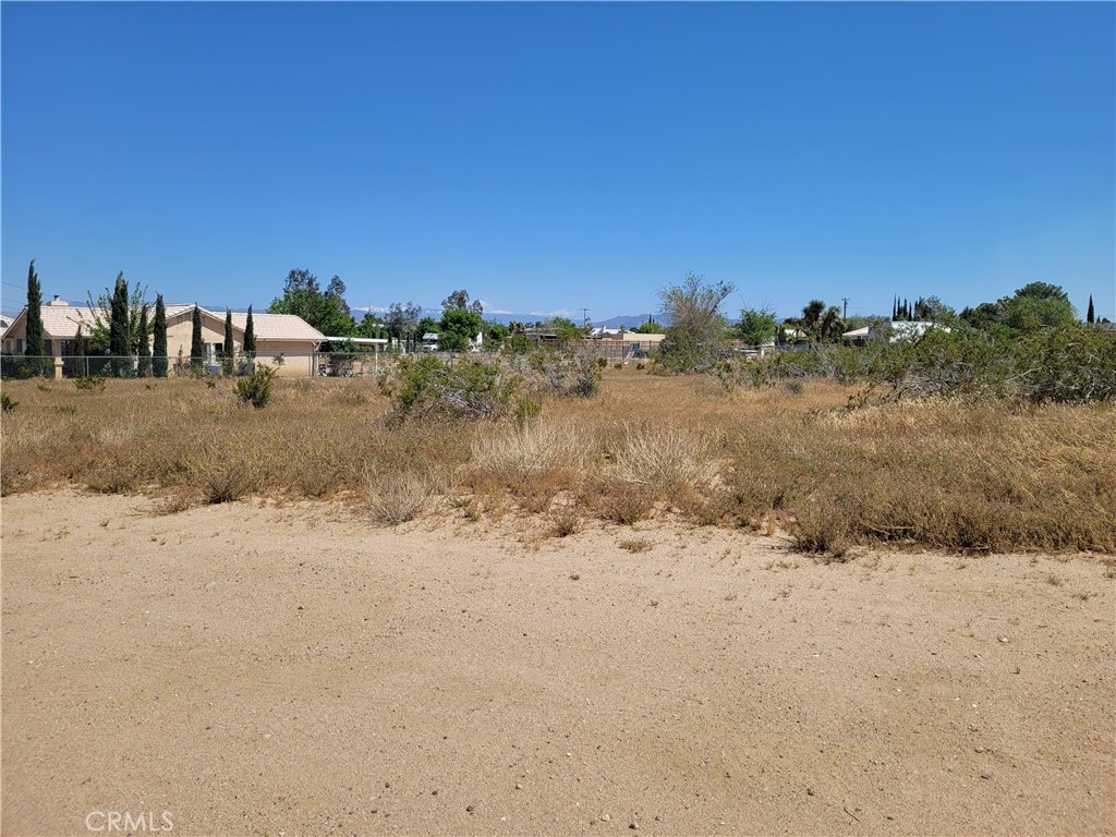 41000 Lilac Street Property Photo 2