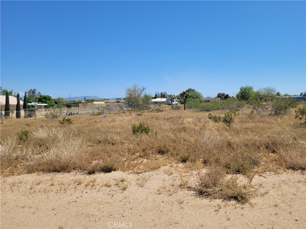 41000 Lilac Street Property Photo 3