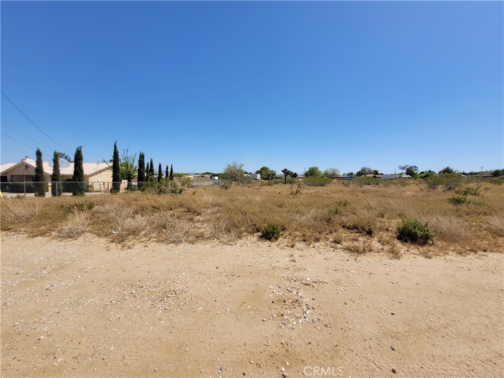 41000 Lilac Street Property Photo 4
