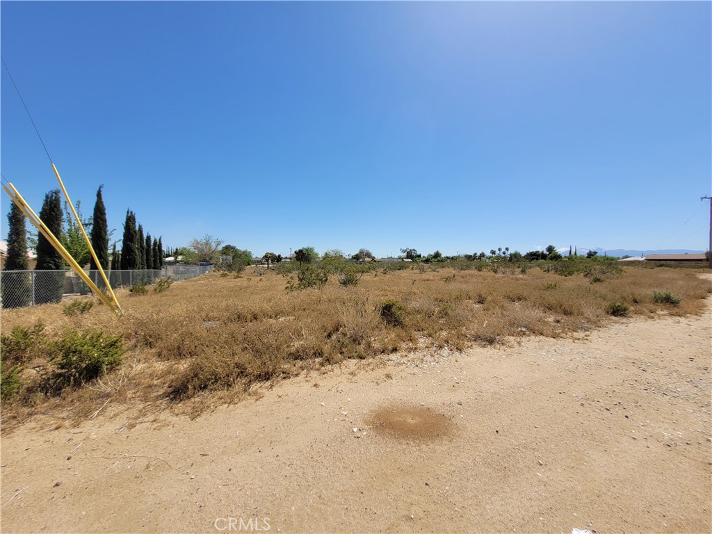 41000 Lilac Street Property Photo 6