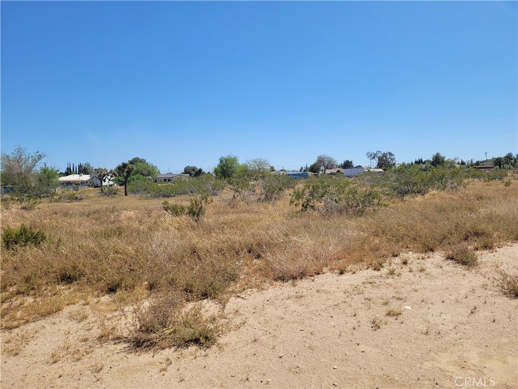 41000 Lilac Street Property Photo 7