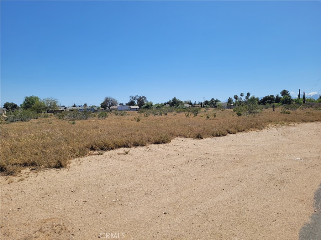 41000 Lilac Street Property Photo 8