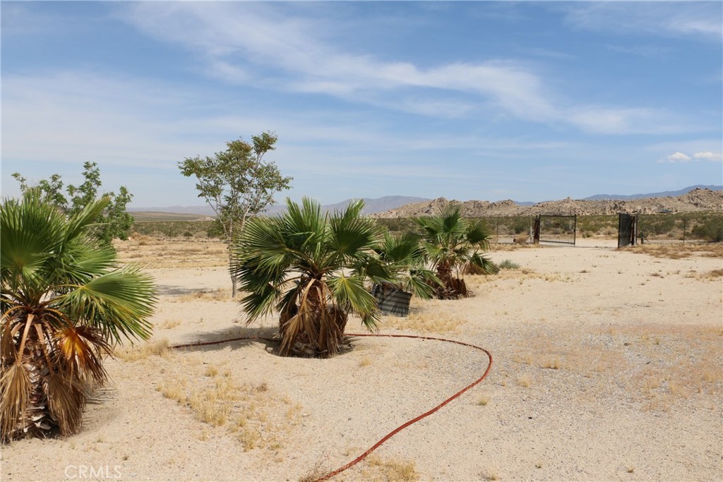 42480 Buckeye Lane Property Photo 45