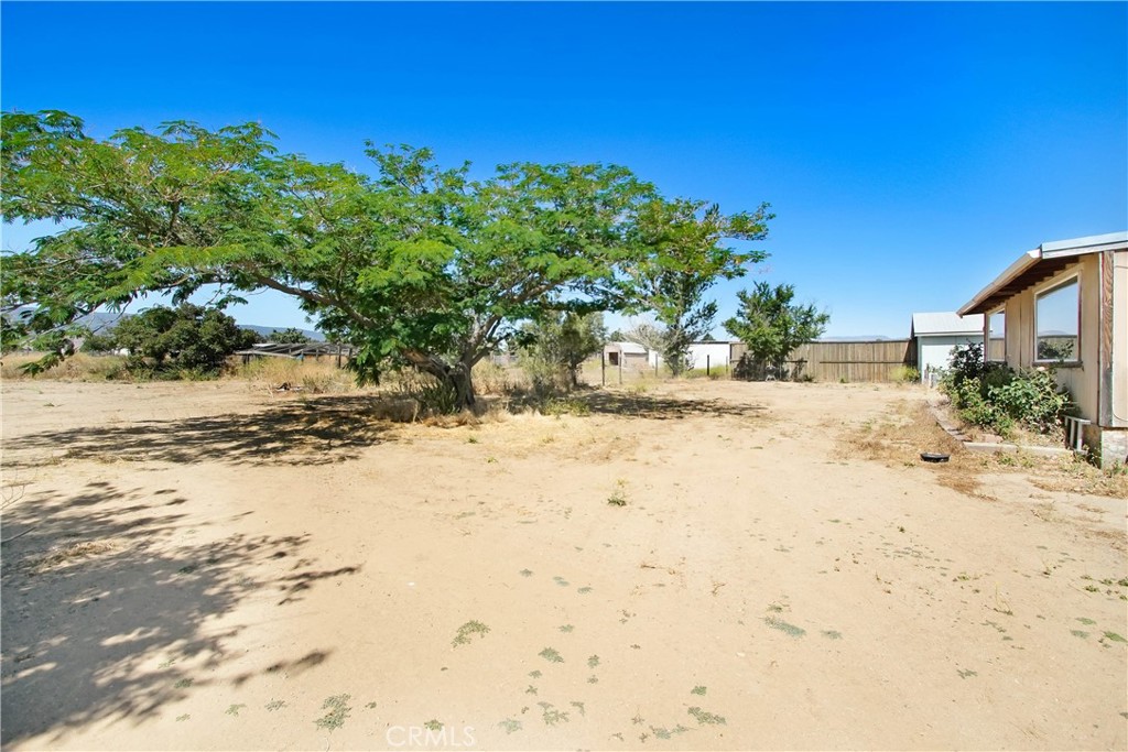 25635 Kargat Street Property Photo 18