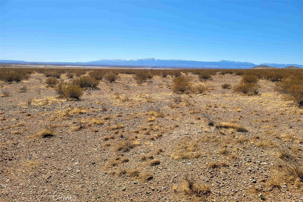64 S Desert Flower Road Property Photo 1