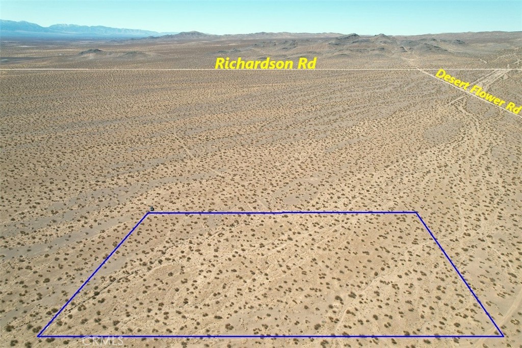 64 S Desert Flower Road Property Photo 5