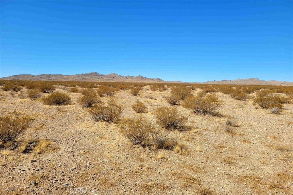 64 S Desert Flower Road Property Photo 6