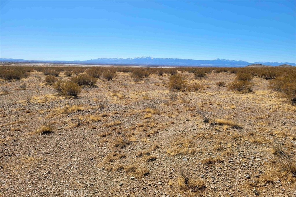 64 S Desert Flower Road Property Photo 7