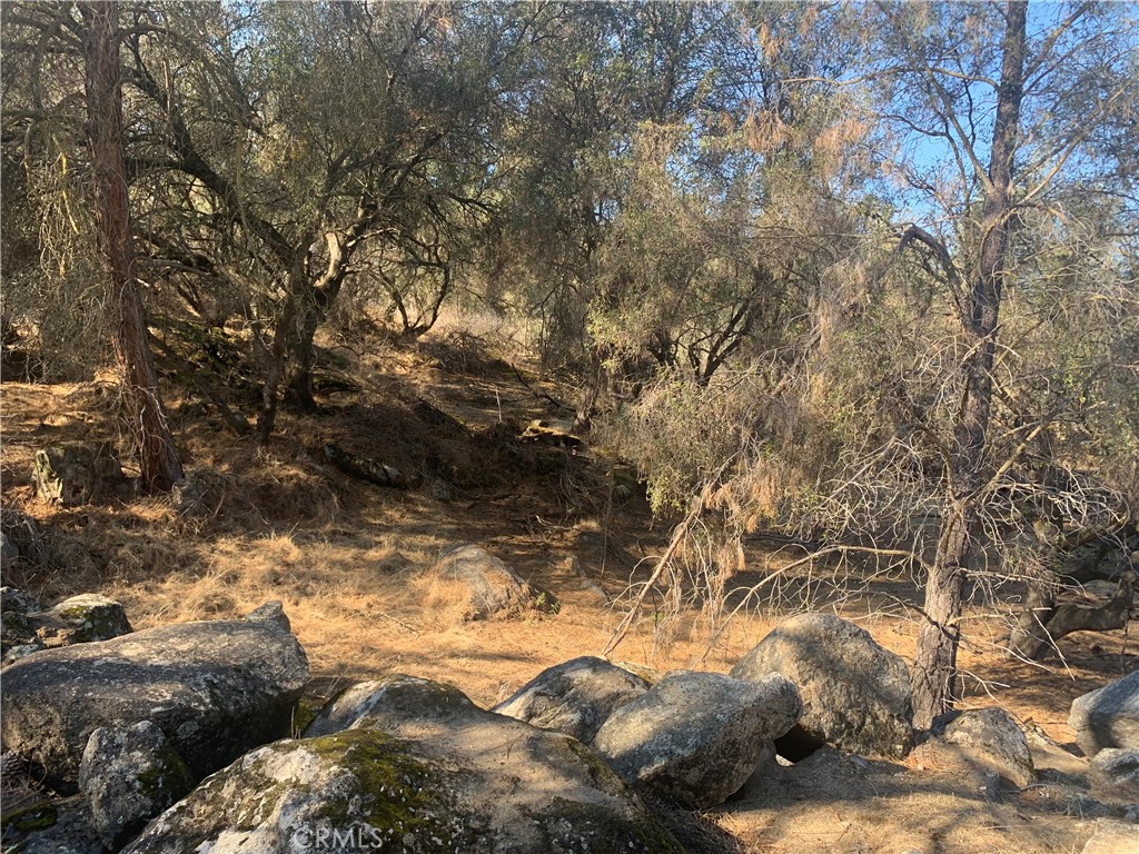 0 None Property Photo 1
