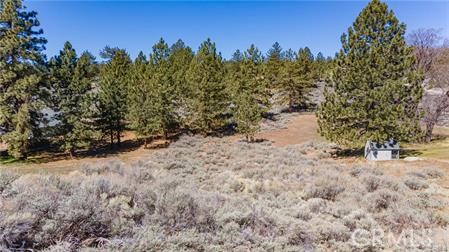 25641 Territory Way Property Photo 2