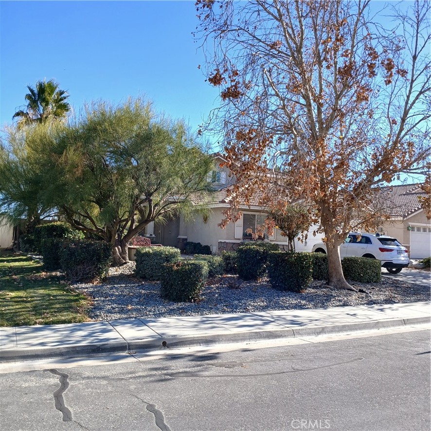 9065 Ventura Court Property Photo 4