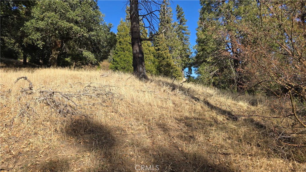 0 None Property Photo 2
