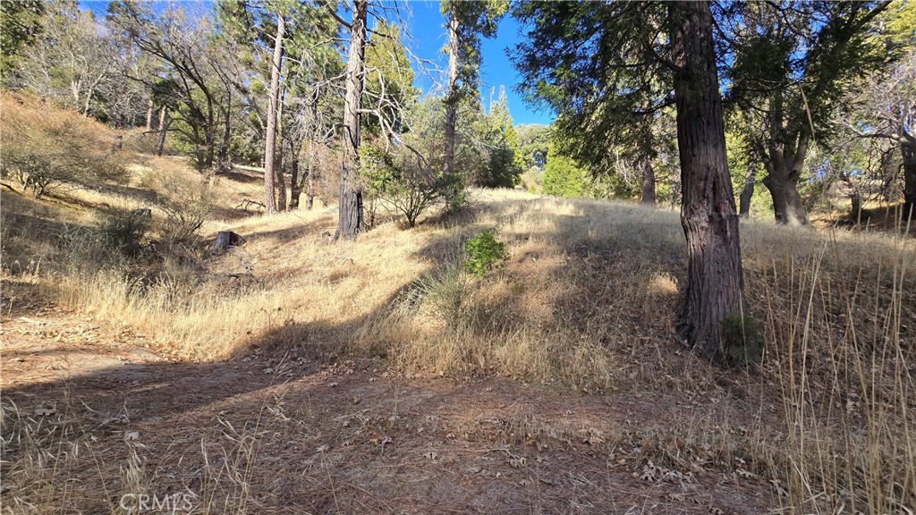 0 Unknown Property Photo 5