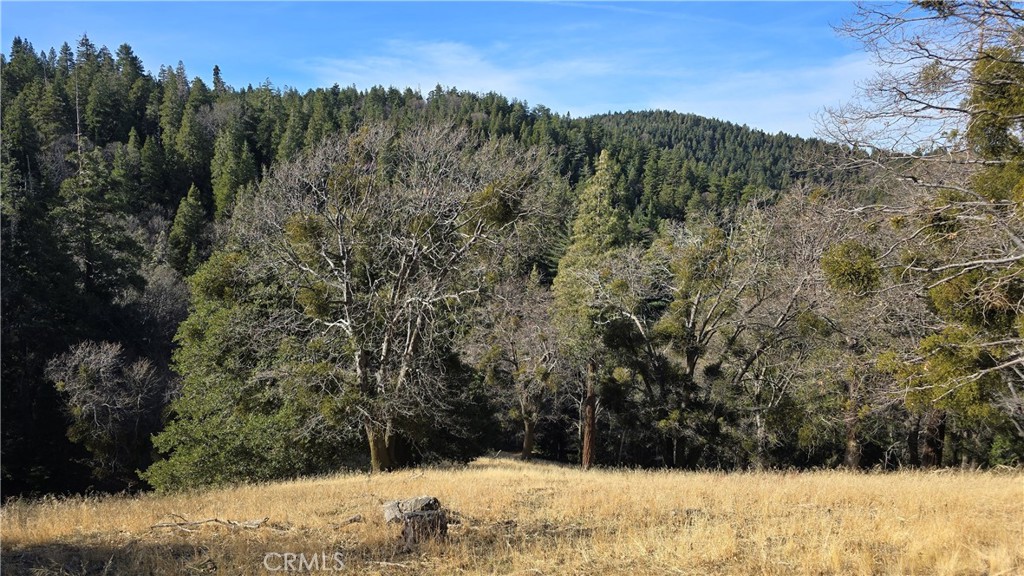 0 Cross Trail Property Photo 3