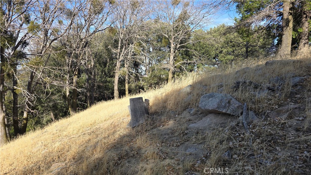 0 Cross Trail Property Photo 4