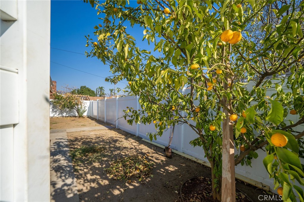 1207 6th Street Property Photo 29