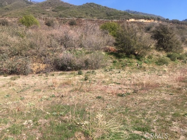 23680 Hillview Road Property Photo 3