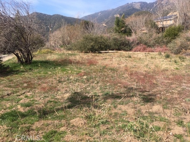 23680 Hillview Road Property Photo 5