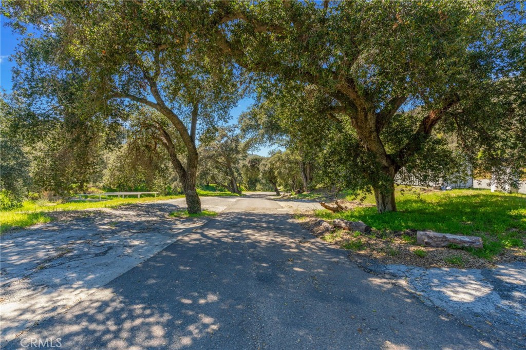 37400 Falling Springs Road Property Photo 6