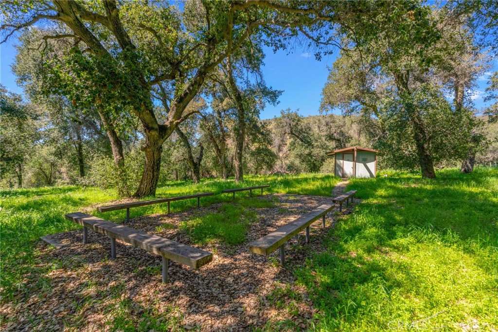37400 Falling Springs Road Property Photo 9