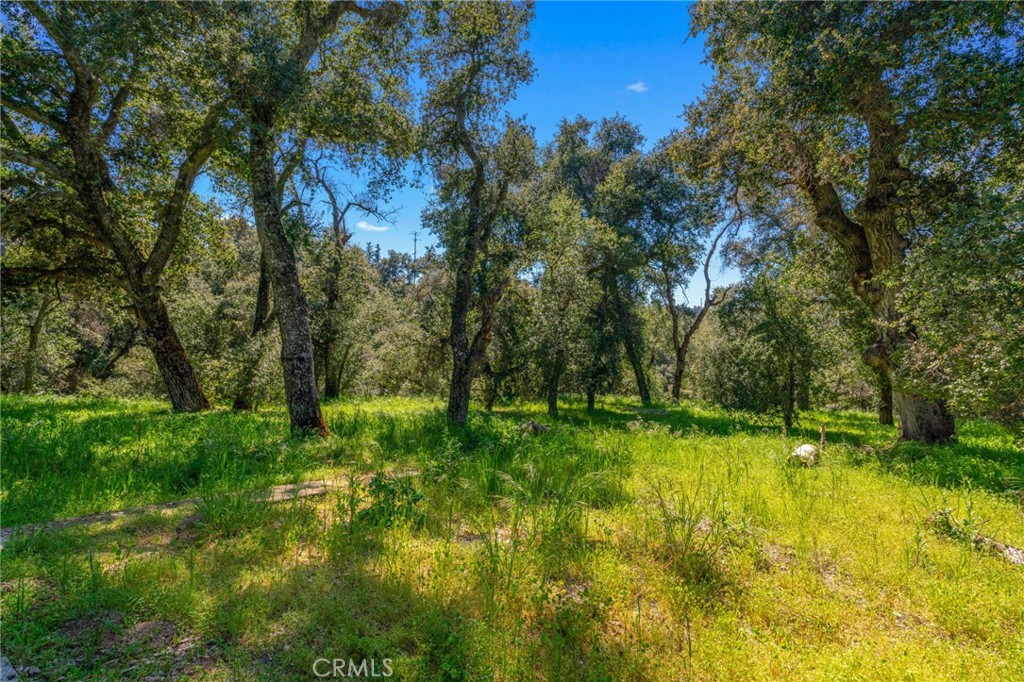 37400 Falling Springs Road Property Photo 12